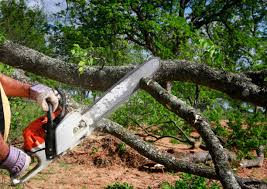 Leaf Removal in Phoenixville, PA